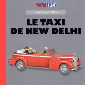 03. LE TAXI DE NEW DELHI